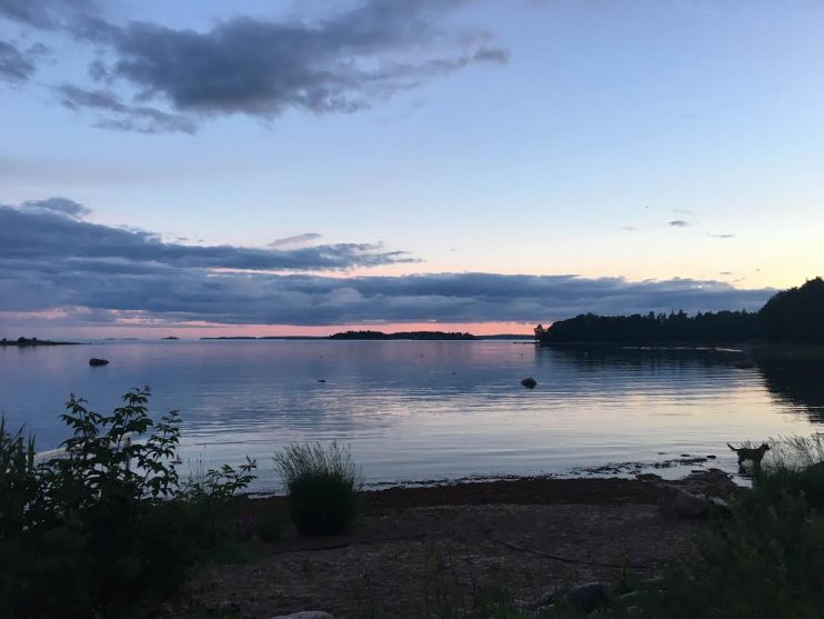 Viimeksi ulkoilin eilen näissä maisemissa :)