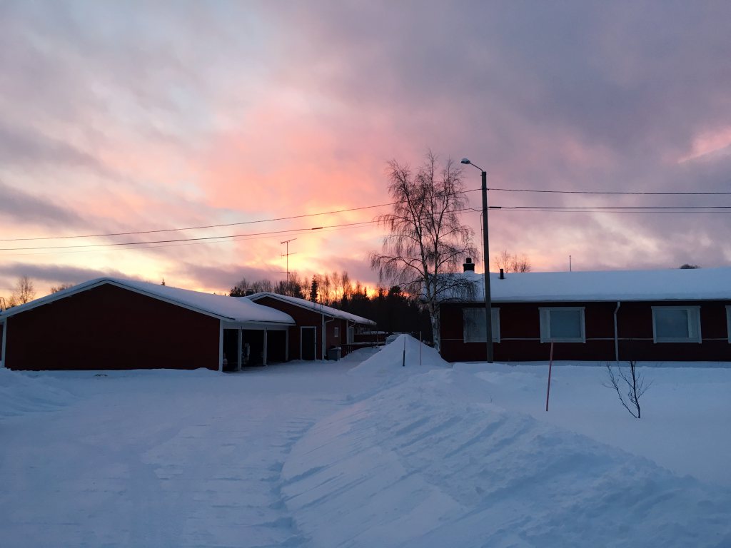 ivalo kaamos