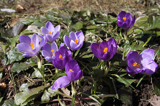 2 kk kiri kesään haaste numero 5 – lähde lenkille!