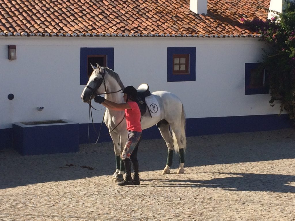 Lusitanohan se.