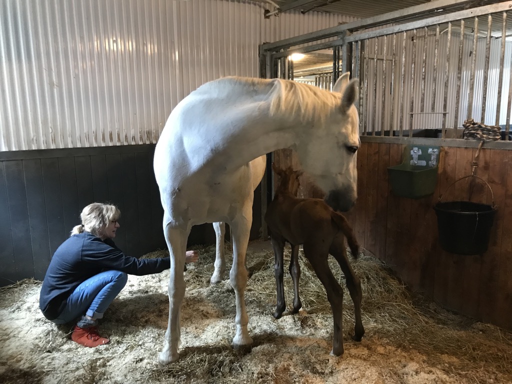 Japanilainen itku seksi
