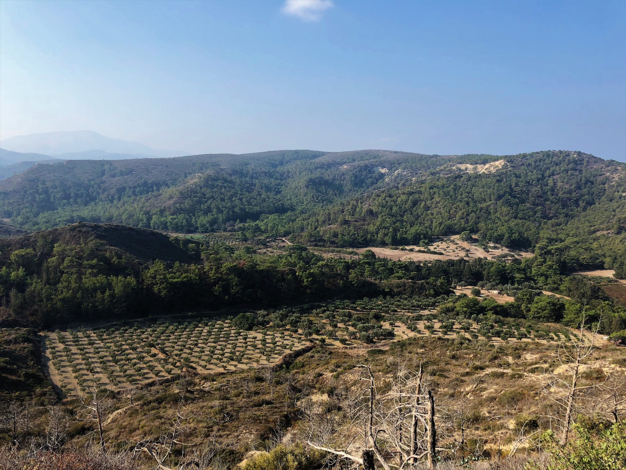 rodos on kiva lomakohde