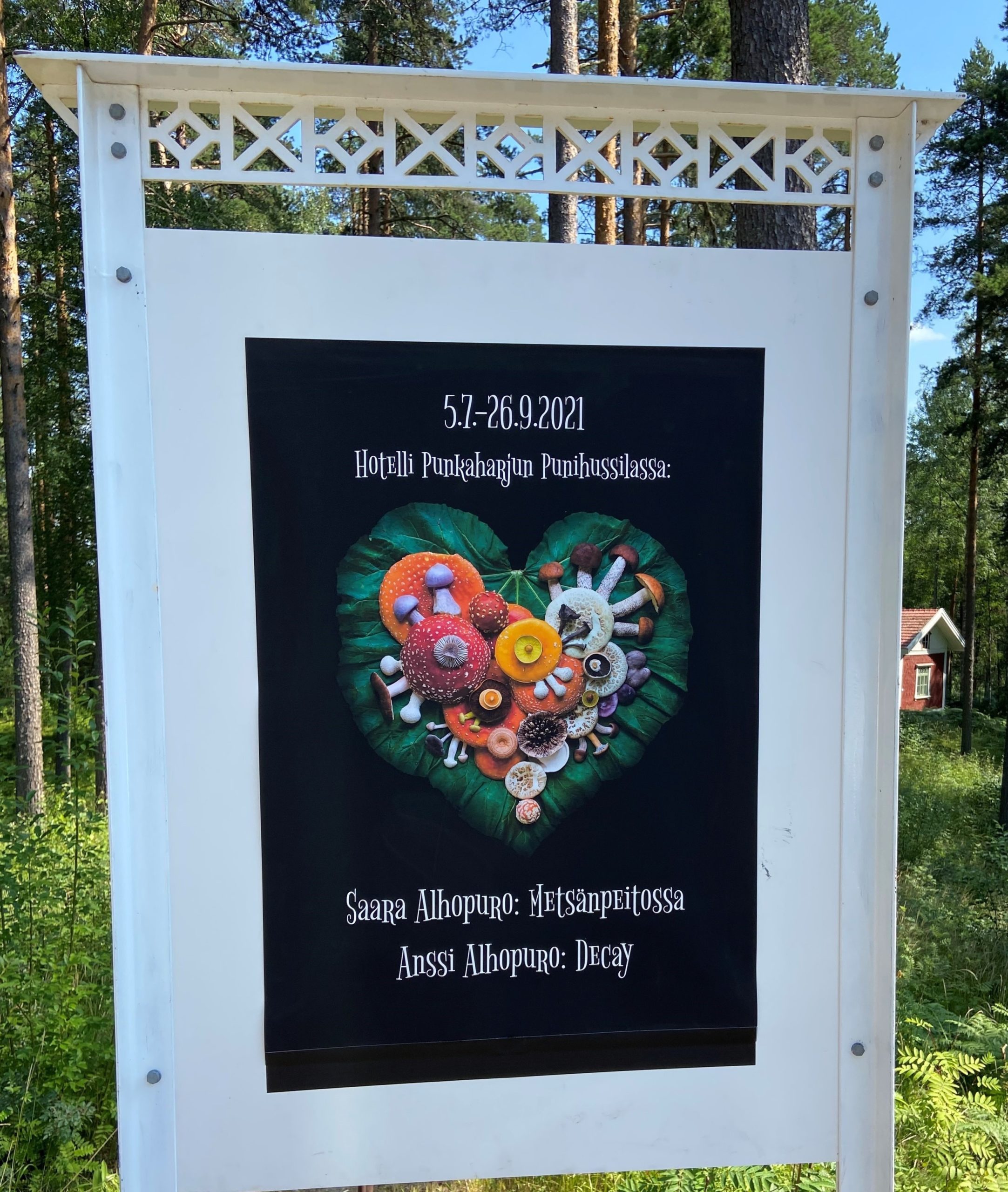 savonlinna-punkaharju