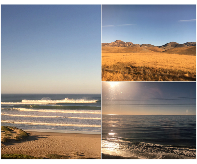 Amtrak_maisemia_Coast